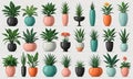 collection 24 potted plants in various colors and sizes, arranged in grid-like pattern.