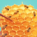 Beehive Buzz: A Hive of Activity Royalty Free Stock Photo