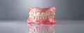 Complete Senior Dentist Care Set on Reflective Surface with Plain Background: Copy Space: Ceramic Teeth Set