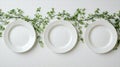 Three white plates arranged in a row with green leaves in between. Royalty Free Stock Photo