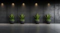 Four potted plants in black pots line a gray wall, illuminated by three spotlights. Royalty Free Stock Photo