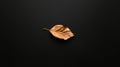 A single brown leaf against a black background. Royalty Free Stock Photo