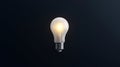 A single light bulb against a black background. Royalty Free Stock Photo