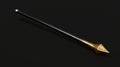 A spear with a gold tip and black shaft. Royalty Free Stock Photo