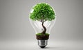 light bulb with tree growing from it, symbolizing the concept sustainable energy and environmental Royalty Free Stock Photo