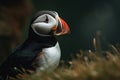 image of a puffin standing in green grass. Birds. illustration, generative AI
