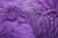Detailed purple fur texture Royalty Free Stock Photo