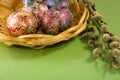 image of pussy-willow and easter eggs on a table close-up Royalty Free Stock Photo