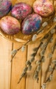 Image of pussy-willow and easter eggs on a table closeup Royalty Free Stock Photo