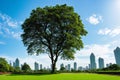 Putrajaya, Malaysia - : Beautiful decorating of blue and green dwarf tree in putrajaya garden with blue sky