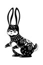 Image rabbit or bunny, sacred and mysterious animal