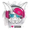 The image of the rabbit in the glasses, headphones and in hip-hop hat. Vector illustration.