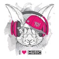 The image of the rabbit in the glasses, headphones and in hip-hop hat. Vector illustration.