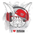 The image of the rabbit in the glasses, headphones and in hip-hop hat. Vector illustration.