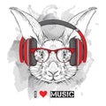 The image of the rabbit in the glasses and headphones. Vector illustration.