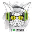 The image of the rabbit in the glasses and headphones. Vector illustration.