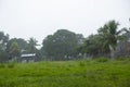 Image of a rainy day in Amazon jungle community. Royalty Free Stock Photo