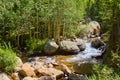 Rapids river with large boulders and aspen trees