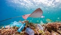 Image of ray swimming fly in an ocean with plastic waste on small fish background. Royalty Free Stock Photo