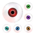 Image of realistic human eye ball with colorful pupil, iris. Vector illustration isolated on white background.