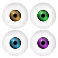 Image of realistic human eye ball with colorful pupil, iris. Vector illustration on white background.