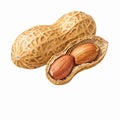 Realistic Illustration of Peanuts in Shell and Nuts Displaying Natural Texture and Detail Royalty Free Stock Photo