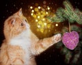 Image of red cat playing with Christmas decorations hanging Royalty Free Stock Photo