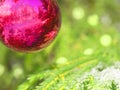 Image of red Christmas ball on fir branch on a green background. Royalty Free Stock Photo