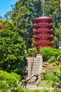 Red pagoda in Japanese Tea Garden up steps with bright blue sky behind trees Royalty Free Stock Photo