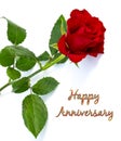 Red Rose anniversary Greetings cards