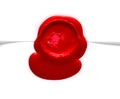 Image of red wax stamp over white