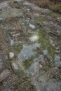 Reflective puddle along the rural pathway