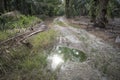 Reflective puddle along the rural pathway