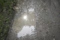 Reflective puddle along the rural pathway