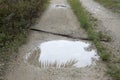 Reflective puddle along the rural pathway