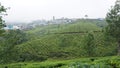 Natural and hill station scene of India and tea field