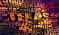 Texas state cities list Royalty Free Stock Photo