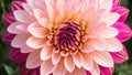 An Image Of A Remarkably Captivating And Detailed Flower With A Pink Center AI Generative Royalty Free Stock Photo