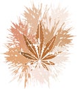 Marijuana leaf on spots isolated