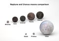 Size comparison between Uranus and Neptune moons with captions