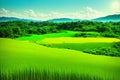 The rice plants in the fields began to turn green made with Generative AI