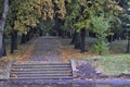 Image of the road going in Avenue of trees Royalty Free Stock Photo