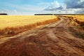 Image of road in wheat field against blue sky Royalty Free Stock Photo