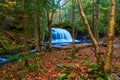 Rock River Falls white waterfall that leads into a forest strewn with fall leaves Royalty Free Stock Photo