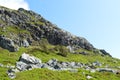 Grass Hill LandscapeWith Rocks