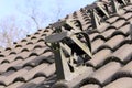 An Image of roofing tiles, house, architecture Royalty Free Stock Photo