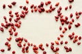 Dog rose hips scattered over a canvas background