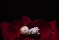 Image of rose petals miniature angel figure dark background Royalty Free Stock Photo