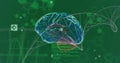 Image of rotating brain over medical data processing on green background Royalty Free Stock Photo