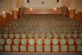 rows of green chairs in a theater auditorium Royalty Free Stock Photo